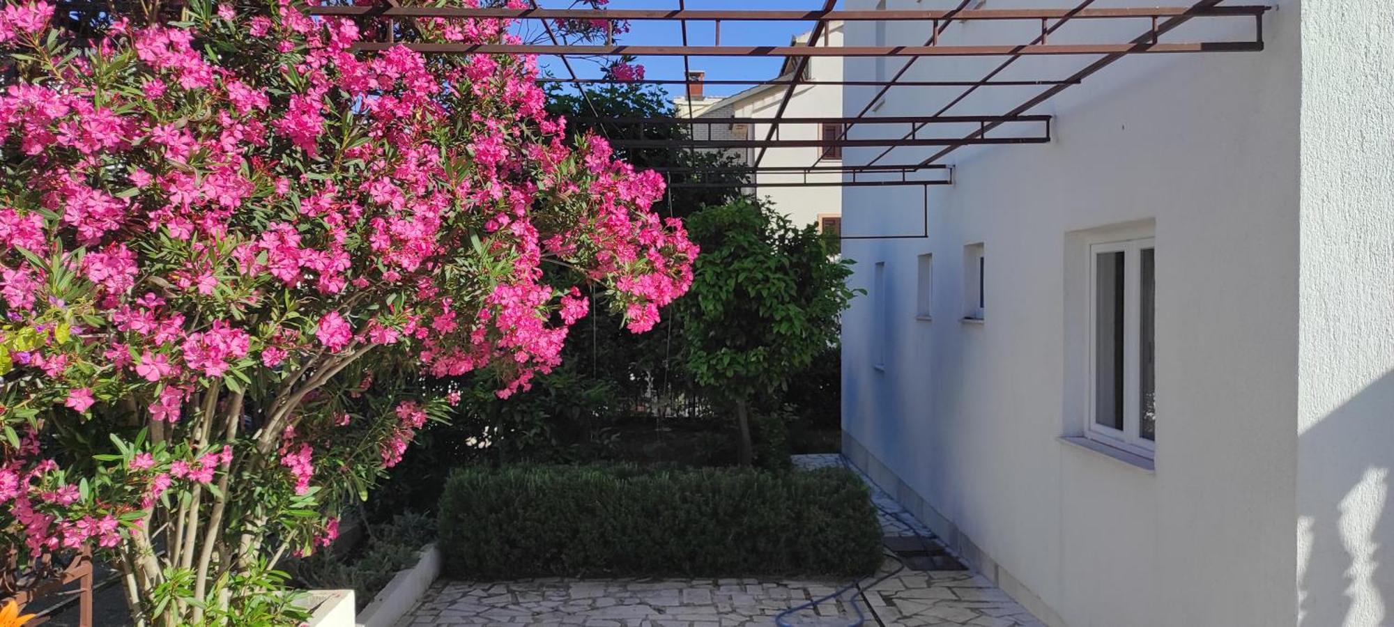Villa Dusper Trogir Exterior foto